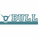 Bull Company Straps