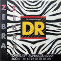 Zebra Acoustic Electric