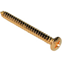 Neck Plate Screw Gold
