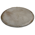 Latin Percussion Percussion head Plenera 8 inch