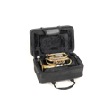 Roy Benson Bb pocket trumpet Roy Benson PT-302 PT-302