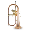 Roy Benson Bb Flugelhorn Roy Benson FH-302G FH-302G