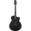 Ibanez Signature Guitar 6-Str JGM5-BSN