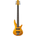 Ibanez Signature Bass 6-Str GVB1006-AM