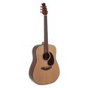 ovation Applause AAD96-4 Natural high gloss