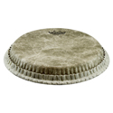 Remo Percussion head Fiberskyn 3 Conga 10 inch M7-S100-F5
