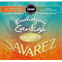Savarez Evolution Cantiga Premium 510ERJP mixed