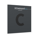 Thomastik-Infeld DOMINANT PRO C Synthetic core, tungsten/silver DP24