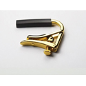 Shubb C1G Acoustic/Western royal gold