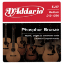 D'Addario EJ17-10P