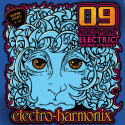 Electro Harmonix Strings, 9s