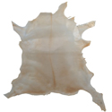 GEWA parchment Goat, glassy