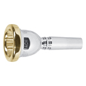 Vincent Bach Mouthpiece Tenor & Bass Trombone 341 5G gold rim