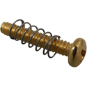 Bridge Screws US160-GLD-6