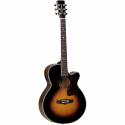 Tanglewood TW45VSE