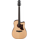 Ibanez Advanced Acoustic 6-Str AAD300CE-LGS