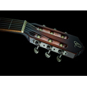 Ortega Nylon String Guitar DSSUITE-C/E