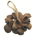 Toca Shaker Seed Shell TO804.444 T-SS