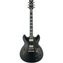 Ibanez Signature Guitar 6-Str JSM20-BKL