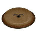 Latin Percussion Bongofell LP Music Collection 4.5 inch Hembra