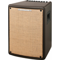 Ibanez Acoustic Amplifier 80W T80II