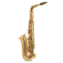 Roy Benson Eb alto saxophone Roy Benson AS-302 AS-302