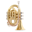 Roy Benson Bb pocket trumpet Roy Benson PT-101 PT-101