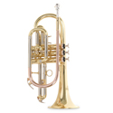 Roy Benson Bb cornet Roy Benson CR-202 CR-202