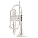 Roy Benson Bb cornet Roy Benson CR-202S CR-202S
