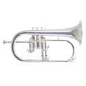 Roy Benson Bb Flugelhorn Roy Benson FH-302S FH-302S