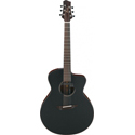 Ibanez Signature Guitar 6-Str JGM10-BSN