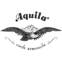 Aquila