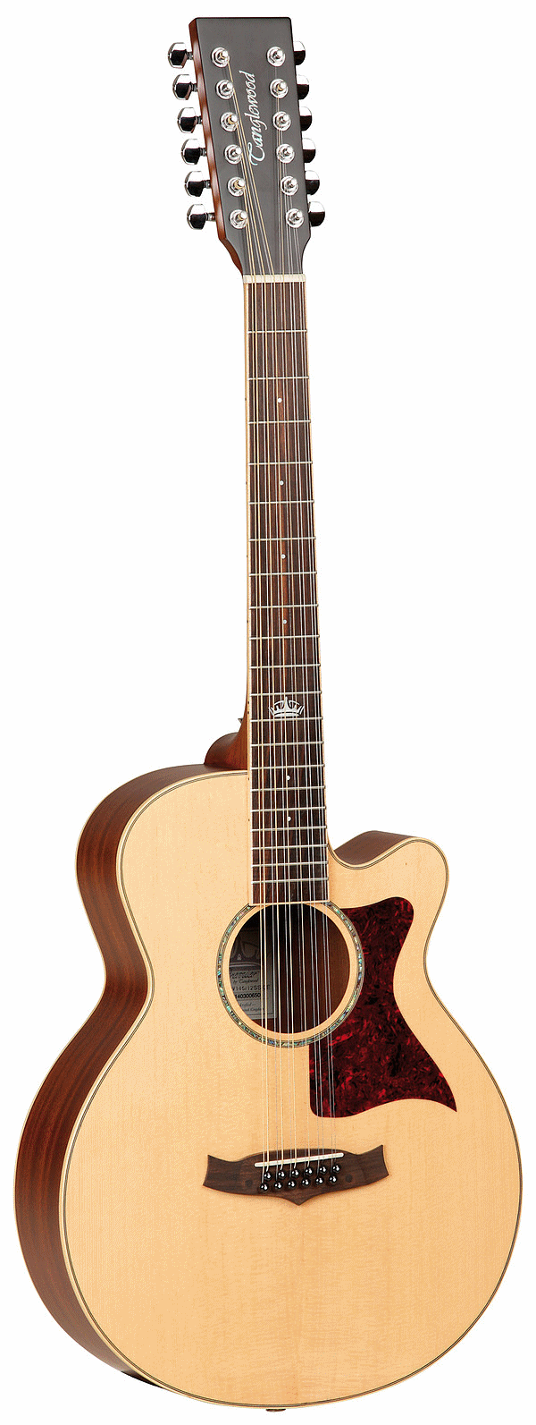 Tanglewood tw145 discount