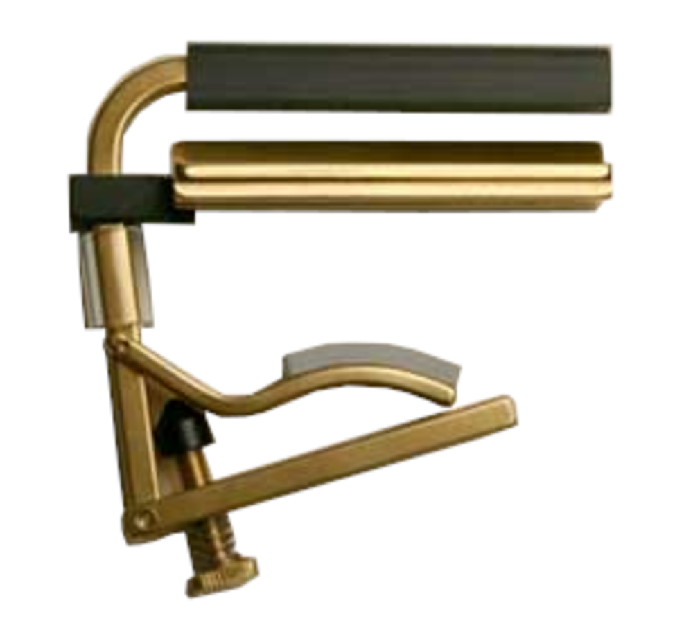Shubb C6B Square Neck