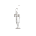 Vincent Bach Bb trumpet 170-43GYR Stradivarius 170S43GYR
