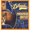 D'Angelico PB-M Phosphor Bronze