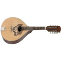 GEWA Flat mandolin Pro Arte Model 2 High gloss