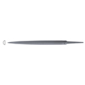 F.Dick Rasp and file 482.060