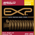 D'Addario EXP19