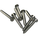 Pickup Frame Screws HB19-SS-8pcs