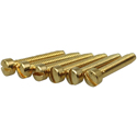 Pole Piece Screws Gold