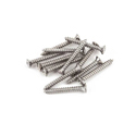 Fender Bridge Mounting Screws 0021422049