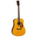 Tanglewood TW40DANE