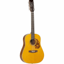 Tanglewood TW40SDE12