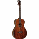 Tanglewood TW40PD