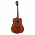 Tanglewood TW40SDD