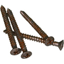 QPX-Aged Neck Plate Screws