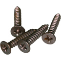 QPX-Aged Pickup ring screws LP-NECK