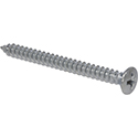 Toronzo Neck Plate Screw TZ-02-Chrome