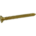 Toronzo Neck Plate Screw TZ-02-Gold